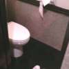 ドルフィン(八王子市/ラブホテル)の写真『401号室、トイレ』by もんが～