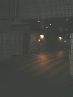 ホテル MOBILIA(モビリア)(鶴ヶ島市/ラブホテル)の写真『夜の入り口』by もんが～