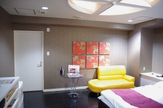 ラピア(新宿区/ラブホテル)の写真『305号室 奥からの景色』by マーケンワン