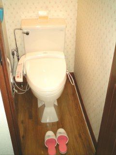 マリオネットアイネ(八王子市/ラブホテル)の写真『310号室、トイレ』by もんが～