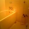 HOTEL ニュー大柿(台東区/ラブホテル)の写真『202号室 浴室』by トビウオ