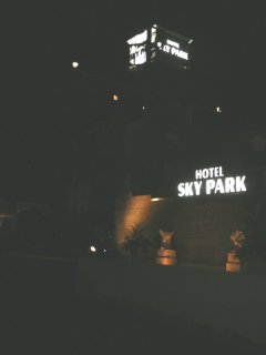 HOTEL SKY PARK（スカイパーク）(新座市/ラブホテル)の写真『夜の外観（国道254号側入口から）』by もんが～