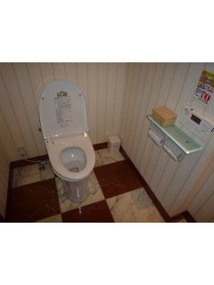 グランドカリビアンリゾートホテル(所沢市/ラブホテル)の写真『210号室トイレ』by スラリン