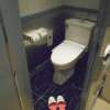 コスモポリス(川越市/ラブホテル)の写真『222号室、トイレ』by もんが～