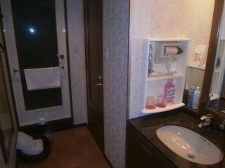 HOTEL KARIN(台東区/ラブホテル)の写真『203号室 洗面台』by ほーほけきょ
