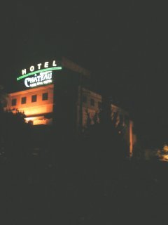 LAKE HILL HOTEL CHATEU(シャトー)(相模原市/ラブホテル)の写真『夜の外観』by もんが～