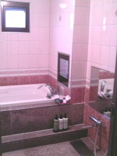 HOTEL SKY PARK（スカイパーク）(新座市/ラブホテル)の写真『502号室、バスルーム』by もんが～