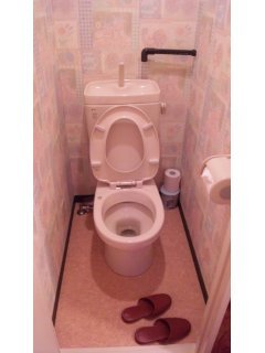 ホテル スターダスト(豊島区/ラブホテル)の写真『705号室のトイレ。』by エスト