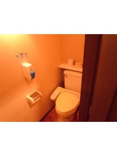 Re･stay（レステイ）府中(府中市/ラブホテル)の写真『２０７号室 トイレ』by みゃちょう