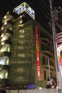 HOTEL ACE（エース）(江戸川区/ラブホテル)の写真『夜の外観』by スラリン