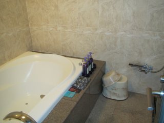 新宿ジャルディーノ(新宿区/ラブホテル)の写真『５０２号室 浴室』by ほーほけきょ