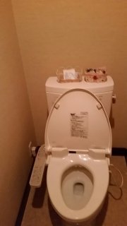 ルション(川崎市川崎区/ラブホテル)の写真『503号室トイレ』by 春風拳