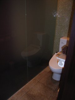 アラウダリゾート国立(国立市/ラブホテル)の写真『209号室 トイレ』by ホテルレポったー