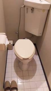 HOTEL Maile(マイレ)(渋谷区/ラブホテル)の写真『306号室のトイレ。ちょっと狭いです。珍しくウォシュレットではありません。』by かまってにゃん