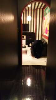 HOTEL Maile(マイレ)(渋谷区/ラブホテル)の写真『303号室の入口からの風景』by かまってにゃん