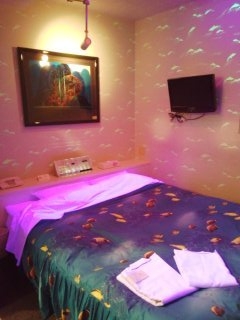 ラ・メールジュニア(札幌市中央区/ラブホテル)の写真『207号室ベッド』by 北の大地