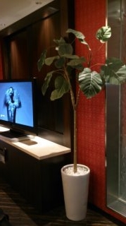HOTEL AILU(アイル)(豊島区/ラブホテル)の写真『403号室 テレビ横 樹木』by ハンプティ・ダンプティ