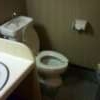 ホテル アトランタ(豊島区/ラブホテル)の写真『トイレ。ウォシュレット無くて汚い。』by ビール好き