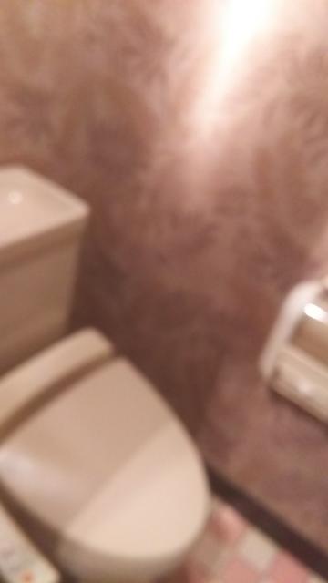 ホテルLios（リオス）(渋谷区/ラブホテル)の写真『402号室のトイレ。狭いですが、壁紙はおしゃれです。』by かまってにゃん