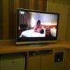 ＨOTEL Q(豊島区/ラブホテル)の写真『304号室、テレビ』by 日本代表
