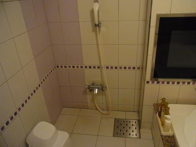 HOTEL LA SEINE（ラセーヌ）(市川市/ラブホテル)の写真『301号室 洗い場・シャワー』by ホテルレポったー