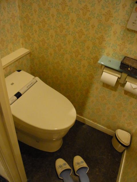HOTEL LA SEINE（ラセーヌ）(市川市/ラブホテル)の写真『301号室 トイレ』by ホテルレポったー