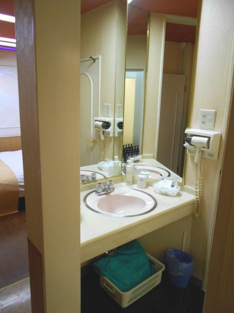 HOTEL VIEW(所沢市/ラブホテル)の写真『312号室、洗面所』by もんが～