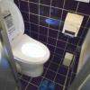 HOTEL Lavita(所沢市/ラブホテル)の写真『207号室、トイレは自動で蓋が上がり、洗浄しながら何故かライトアップ！、という最新式でした。』by もんが～