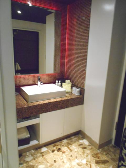 ラフェスタ国立(国立市/ラブホテル)の写真『301号室、洗面所』by もんが～