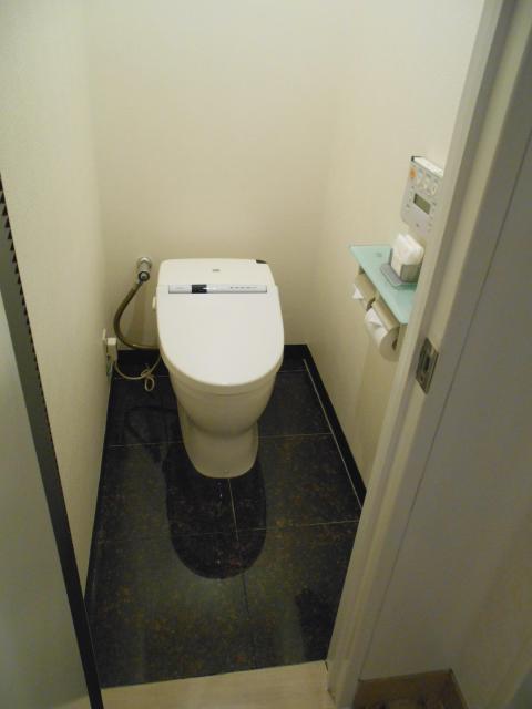 ラフェスタ国立(国立市/ラブホテル)の写真『301号室、トイレ』by もんが～