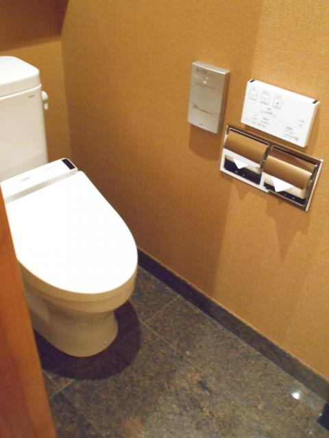GRAND CARIBBEAN LUXURY HOTEL(所沢市/ラブホテル)の写真『208号室、トイレ』by もんが～