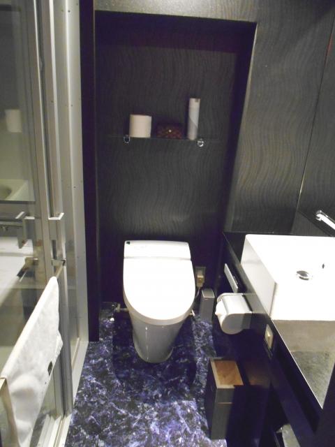 IKASU HOTEL(八王子市/ラブホテル)の写真『401号室、トイレ』by もんが～