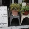 HOTEL Young Inn.(ヤング イン)(新宿区/ラブホテル)の写真『左側入口前の飾り付け』by ルーリー９nine