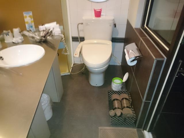 WILL CITY浅草(台東区/ラブホテル)の写真『＃303　温水洗浄つきのトイレ。最近近くて困ってます。』by 名無しさん（ID:7972）