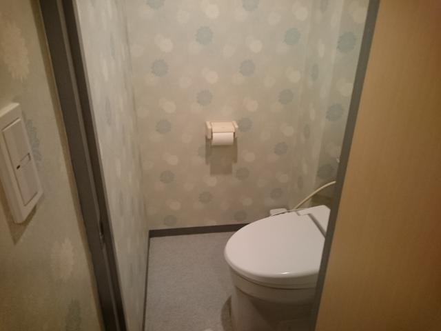 ホテルマーブル(品川区/ラブホテル)の写真『＃505　トイレ。入り口が狭く感じる』by 名無しさん（ID:7972）