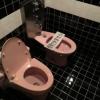 HOTEL FAMY（ファミー）(千葉市花見川区/ラブホテル)の写真『507トイレが２つ』by 子持ちししゃも