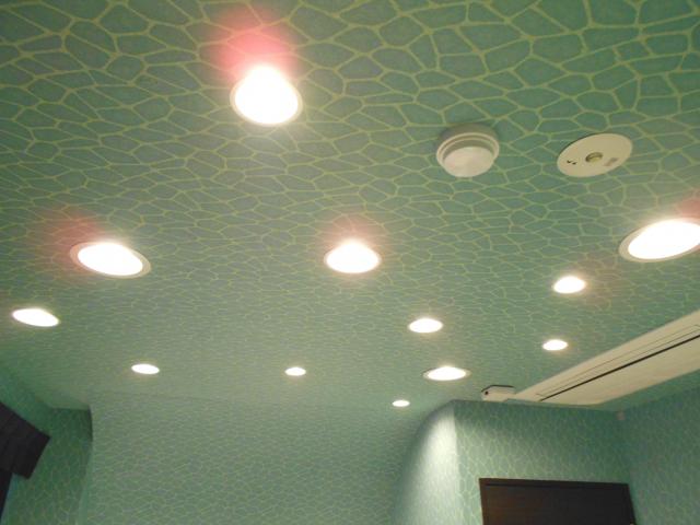 IKASU HOTEL(八王子市/ラブホテル)の写真『301号室、天井の照明』by もんが～