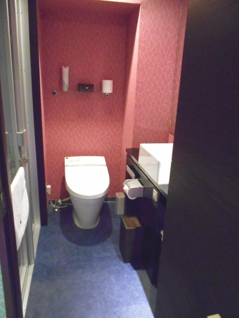IKASU HOTEL(八王子市/ラブホテル)の写真『301号室、洗面所ドアを開けると中央にトイレ、左が浴室、右に洗面台があります。』by もんが～