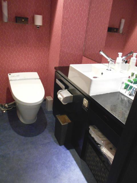 IKASU HOTEL(八王子市/ラブホテル)の写真『301号室、トイレと洗面台』by もんが～