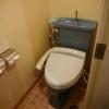 HOTEL P-DOOR（ホテルピードア）(台東区/ラブホテル)の写真『＃301　洗浄機付き温水便座のトイレ。綺麗でした。』by おっぱい大好き