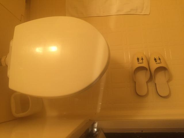 Hotel Bali&Thai 福生店(福生市/ラブホテル)の写真『38号室、トイレ（ウオッシュレットじゃないです）』by 日本代表