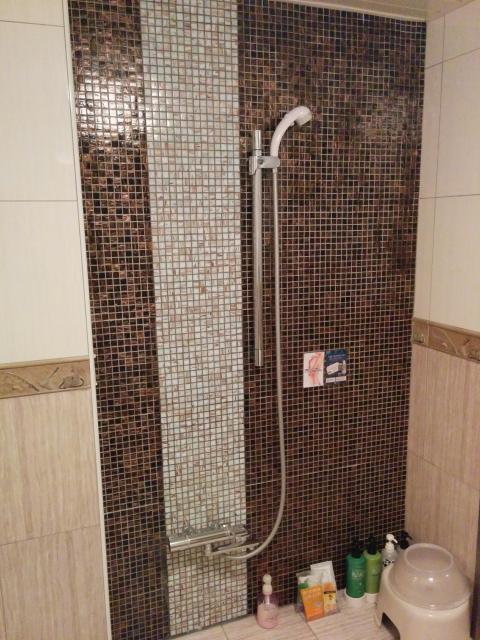 ホテルK-WAVE R（ケーウエイブアール）(越谷市/ラブホテル)の写真『216号室 浴室 シャワー』by ましりと