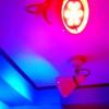 HOTEL St ELMER（ホテルステーションエルマー）(台東区/ラブホテル)の写真『室内の妖しいライトアップの正体。』by くんにお