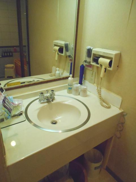 マリオネットアイネ(八王子市/ラブホテル)の写真『207号室、洗面所』by もんが～