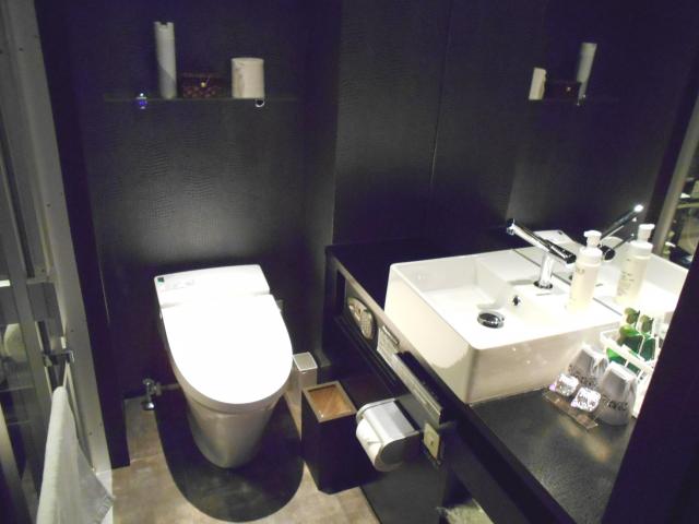 IKASU HOTEL(八王子市/ラブホテル)の写真『201号室、トイレと洗面所』by もんが～