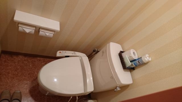 拾参番館(国立市/ラブホテル)の写真『206号室 トイレ』by おむすび