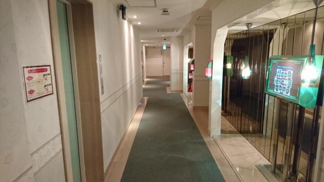 PLAZA K(プラザＫ)(八王子市/ラブホテル)の写真『４階廊下』by おむすび