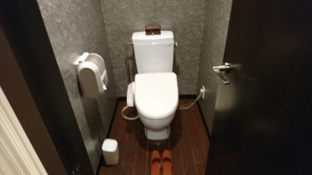 アラウダリゾート国立(国立市/ラブホテル)の写真『510号室 トイレ』by おむすび