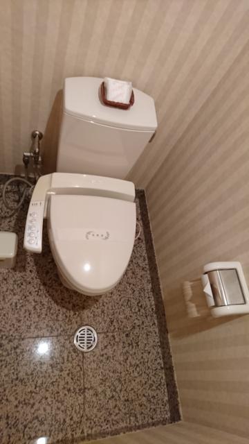 PLAZA K(プラザＫ)(八王子市/ラブホテル)の写真『トイレ』by おむすび
