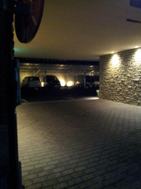HOTEL JULIAN(ジュリアン)(座間市/ラブホテル)の写真『ガレージ(深夜)』by 少佐